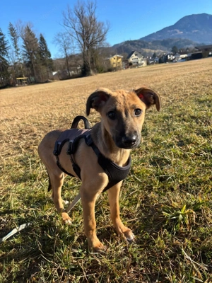 Celine - eine kleine Überlebenskämpferin auf der Suche nach ihrer Familie Bild 7