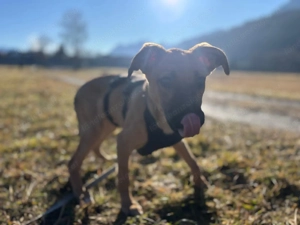 Celine - eine kleine Überlebenskämpferin auf der Suche nach ihrer Familie Bild 4