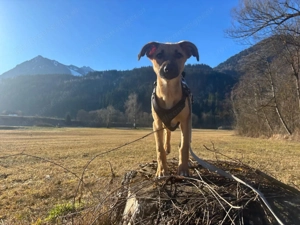 Celine - eine kleine Überlebenskämpferin auf der Suche nach ihrer Familie Bild 8