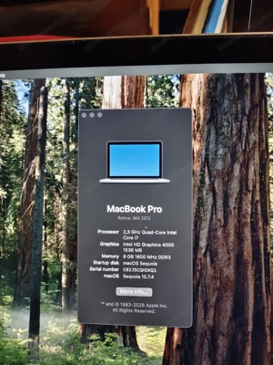 MacBook Pro mit Retina Bildschirm  Bild 2