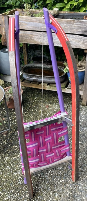 Ebner Rennrodel Bild 3