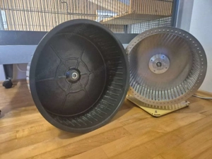 Degu Gehege - Voliere Bild 3