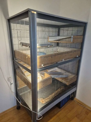 Degu Gehege - Voliere Bild 2