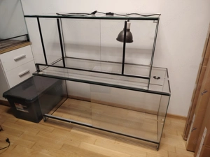 Terrarium Reptilien Bild 2