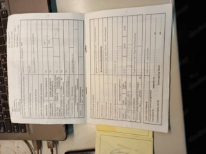 Anhänger gebremst Bild 5