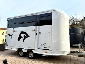 Pferdeanhänger - Wohn. Hengst - 3,5t Bild 2