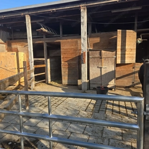 Große Paddock-Box in Selbstversorgerstall in Lauterach  Bild 2