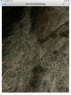 Heu 1Schnitt in Rundballen  Bild 2