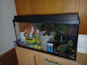 120l Aquarium von Juwel mit Zubehör  Bild 2