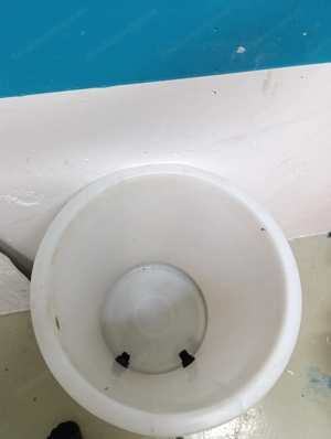 3 Stk Fässer für Regenwasser oder sonstiges Bild 3