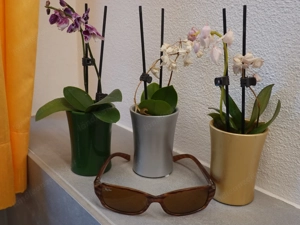 Sonnenbrille, Ray Ban Sunglasses RB 2130 Wrap Rituals Pande 938  Bild 4