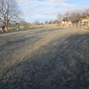 Große Paddock-Box in Selbstversorgerstall frei, Lauterach  Bild 3