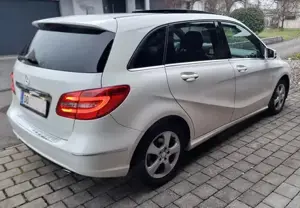 Mercedes Benz B200   AHK Panorama Automatik  Leder 8-fach bereift  Bild 2
