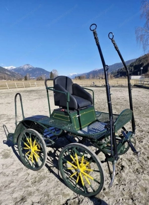 Marathon Kutsche zu Verkaufen  Bild 5