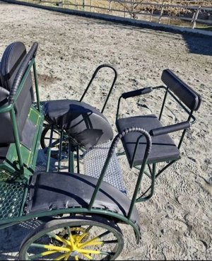 Marathon Kutsche zu Verkaufen  Bild 6