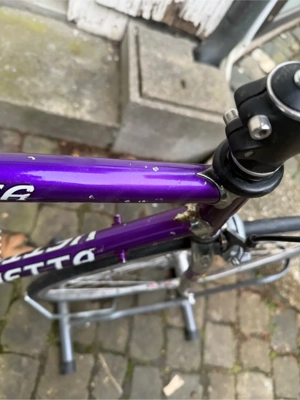 Vetta Rennrad Singlespeed Bild 2