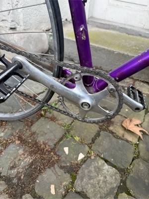 Vetta Rennrad Singlespeed Bild 3