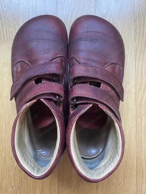 Waldviertler Art. 2 Gr 34 Bild 5