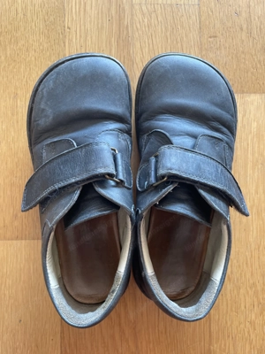 Waldviertler Art. 1 32 Bild 5