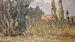 Original Walder Papst Ölgemälde   Motiv: Schussen bei Langenargen (Bodensee) Bild 10