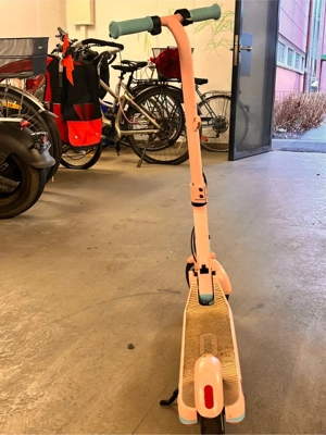 Kinder E Scooter Bild 2