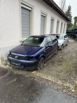 2x Polos Export  Bild 4