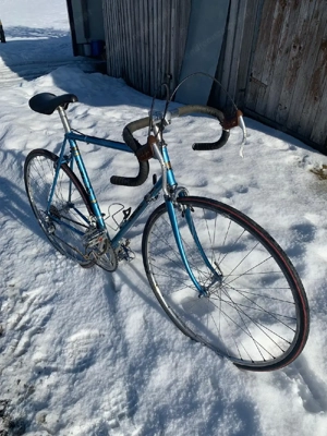 simplon 2 Stern Bild 5