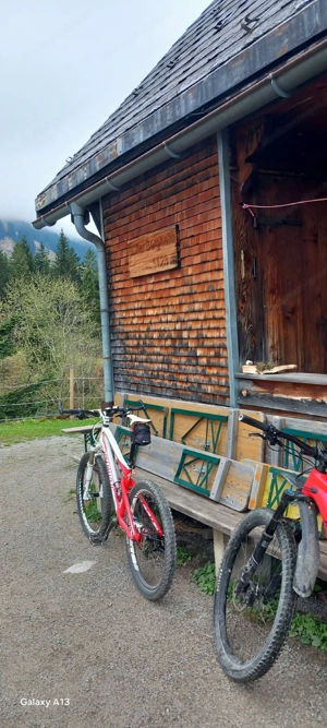 Mountainbike  Bild 2