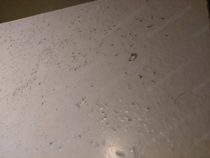 Holztisch 160x90 cm (für Terrasse oder Garten geeingnet) Bild 3