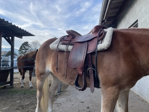 Westernsattel Continental Equiflex Wide&Short-Reiner 16  Bild 2