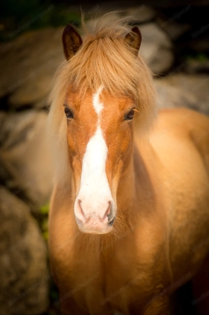 Pflegebeteiligung mit Option auf mehr.... Bild 2