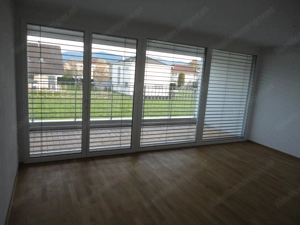 2-Zimmer-Wohnung in Hard Bild 3