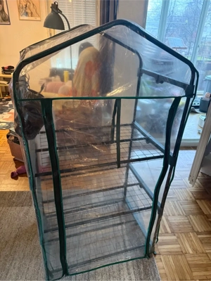 indoor Gewächshaus Bild 3