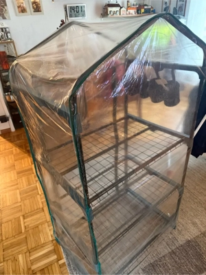 indoor Gewächshaus Bild 2