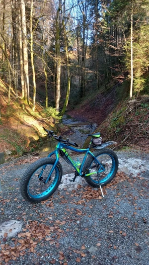 Mountainbike Fatbikeh Bild 3