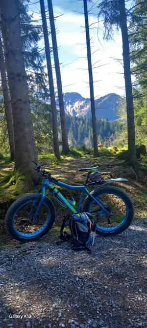Mountainbike Fatbikeh Bild 2