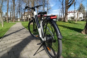 Fiido C11 E-Bike Bild 2