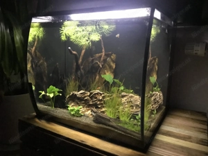 Aquarium Fluval Flex (57 Liter) - schwarz - inkl. Heizstab