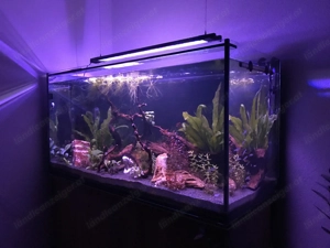 360 L Aquarium inkl. kompletter Technik & Unterschrank Bild 3