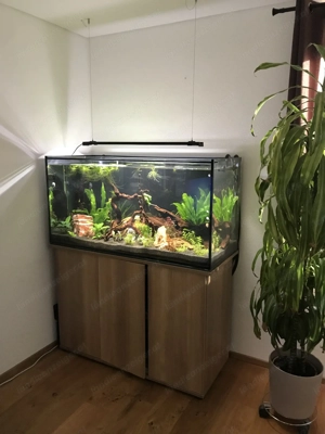 360 L Aquarium inkl. kompletter Technik & Unterschrank