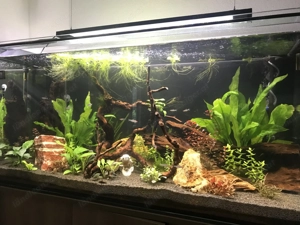 360 L Aquarium inkl. kompletter Technik & Unterschrank Bild 2