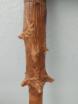 Spazierstock  Bild 4