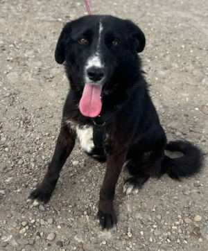 Eira - bereit für ihr eigenes Kapitel voller Liebe Bild 4