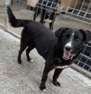 Eira - bereit für ihr eigenes Kapitel voller Liebe Bild 5