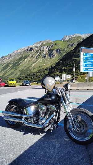HD Softail Springer Bild 4
