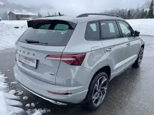 Skoda Karoq Bild 2