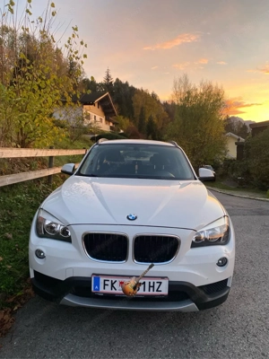 BMW X1 sDrive16d E84 Bild 4