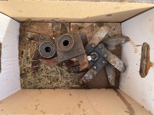 Gartenphräse Oldtimer Bild 5