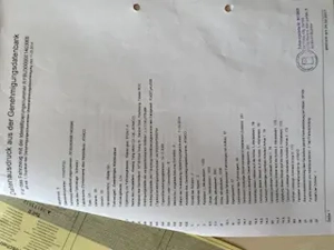 Moped Roller Vitaly 50  Bild 4