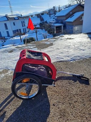 Kiki für kl. Hunde Bild 2